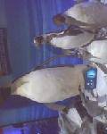 IMG0311A