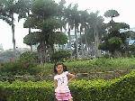 DSC01116