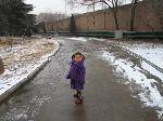 IMG_0941