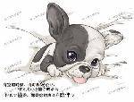 968cd7f0e6b9f081a50f52ed