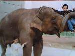 IMG0151A