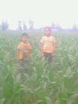 IMG0154A