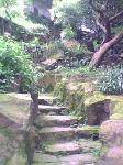 IMG0022A
