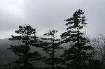 nEO_IMG_IMG_3162