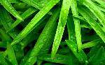 8d4a3f97138b0f277af4800a