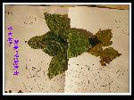 DSCF0084