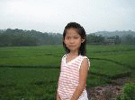 Ƭ