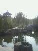 IMG0117A