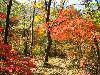 3f655f89t5c7eb047b7a