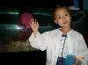 С DSCN2982