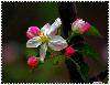 200968416557139[1]