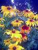 IMG0111A