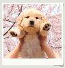 5b36b7bb45bd9a1ee5e4