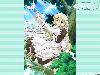 pic321-com-66[1]