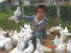 CIMG0599
