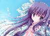 8bfbc636b270f6f7a2cc