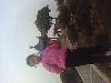 Picture0042