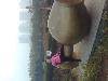 Picture0040