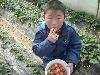 IMG04350