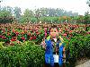 DSCF2033