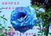 u=458947984,32494854