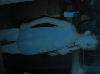 http_imgload[5]