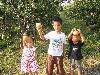 2008082412412257[1]