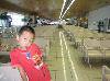 2009083101273219[2]