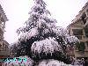 PICT0496