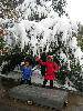 ת DSCN0184