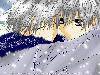 7a4e392d05a17d2b349b
