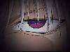 0cf060fcff7d67a0b801