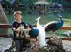 DSC00620_