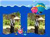 http_imgload[11]