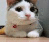 Ƭ