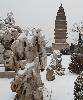 IMG_0315