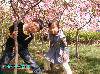 PICT0054