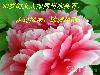 4ܽػ