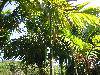 hainan 6