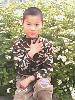 IMG0084A