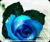 20090527143506134