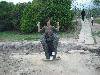 DSCF0869