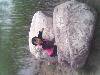 IMG0511A