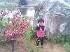 IMG0503A