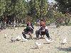 Table_IMG_0004