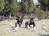 Table_IMG_0003