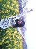 IMG0423A