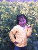 IMG0426A