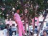 IMAG0076