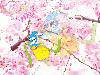0f620a380d8d0109b999